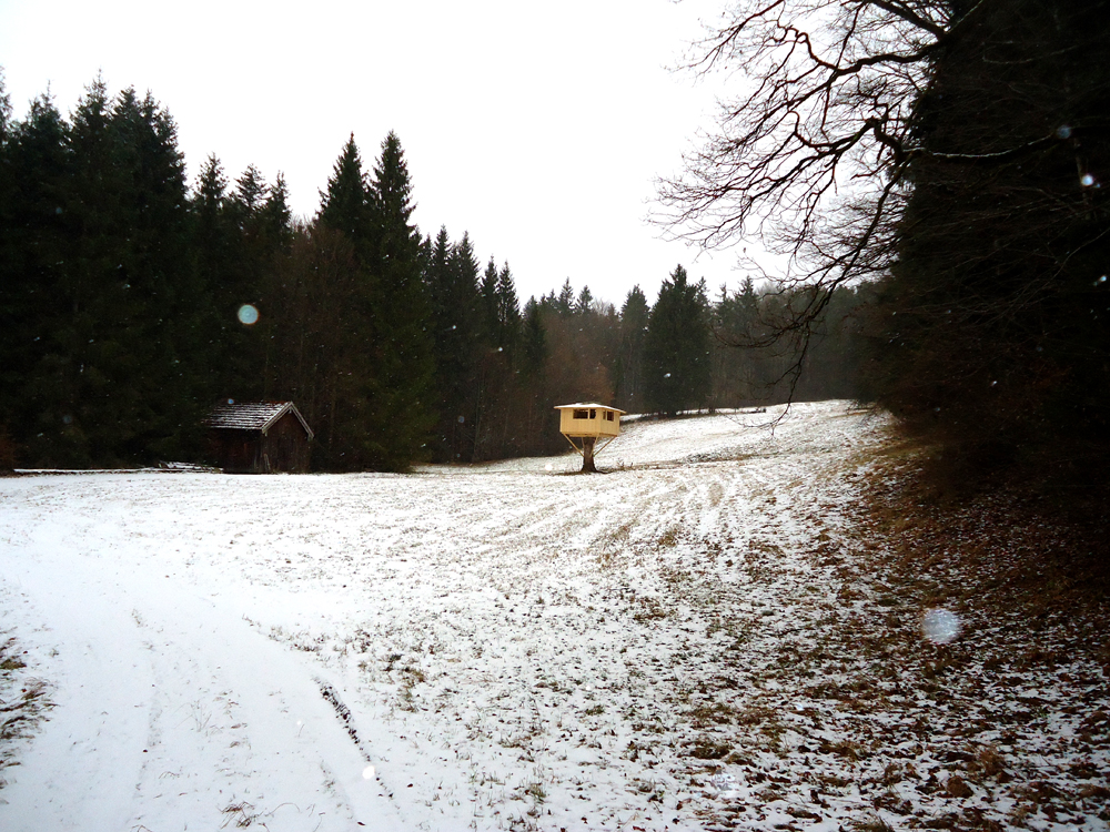 i.DSC05791